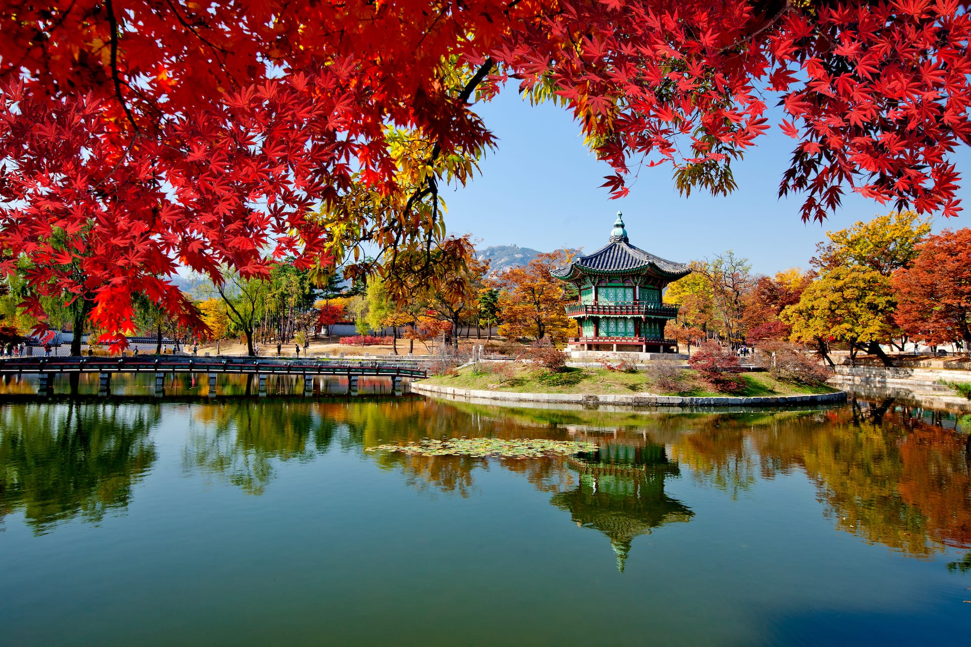 Tour mùa Thu Seoul 5N4Đ / KH từ Hà Nội / tháng 10